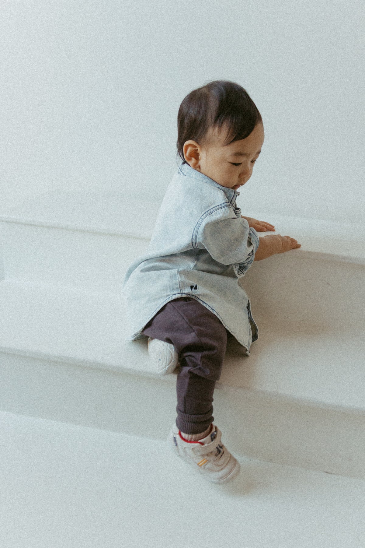 Legacy Jogger |  Ironwood