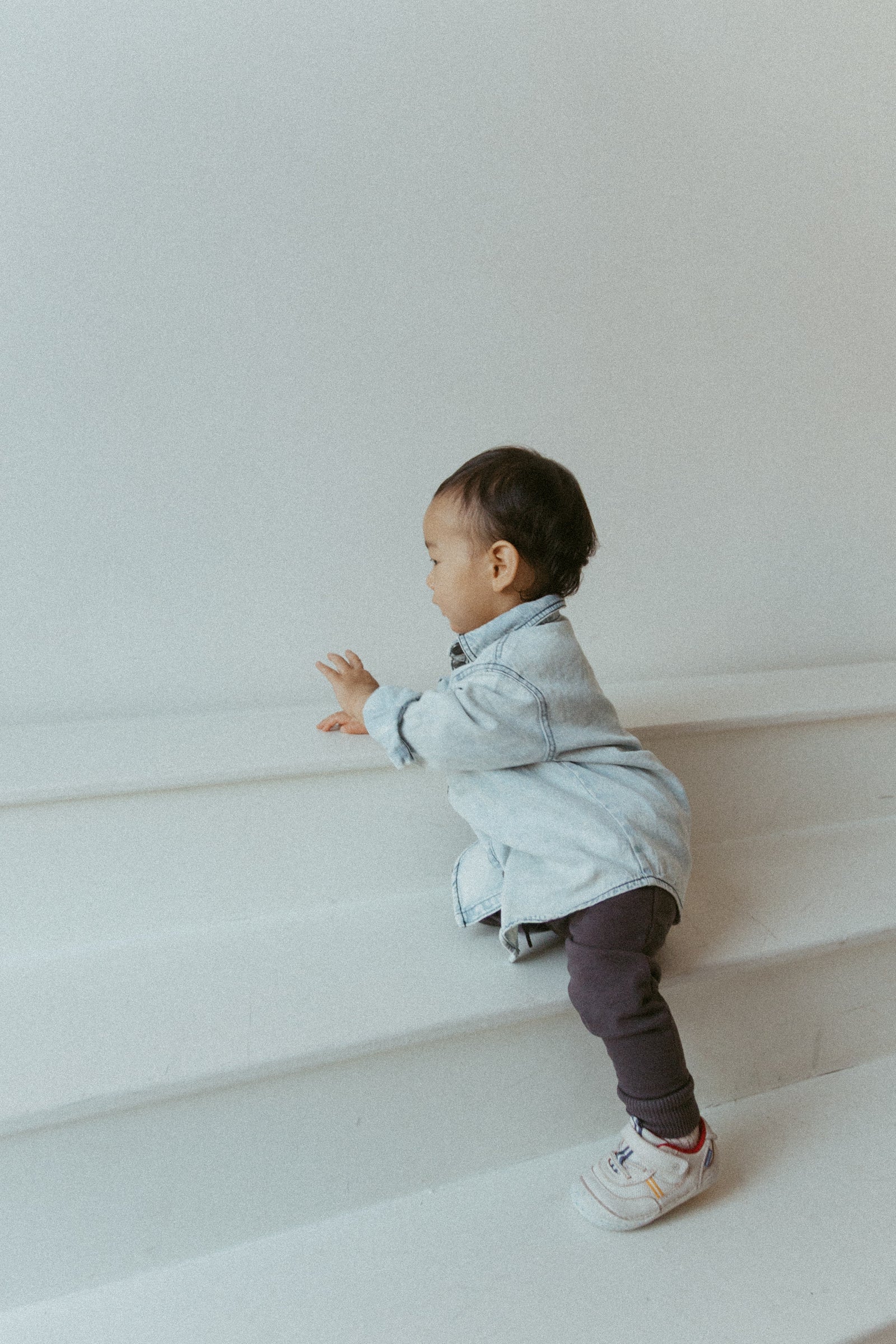 Legacy Jogger |  Ironwood