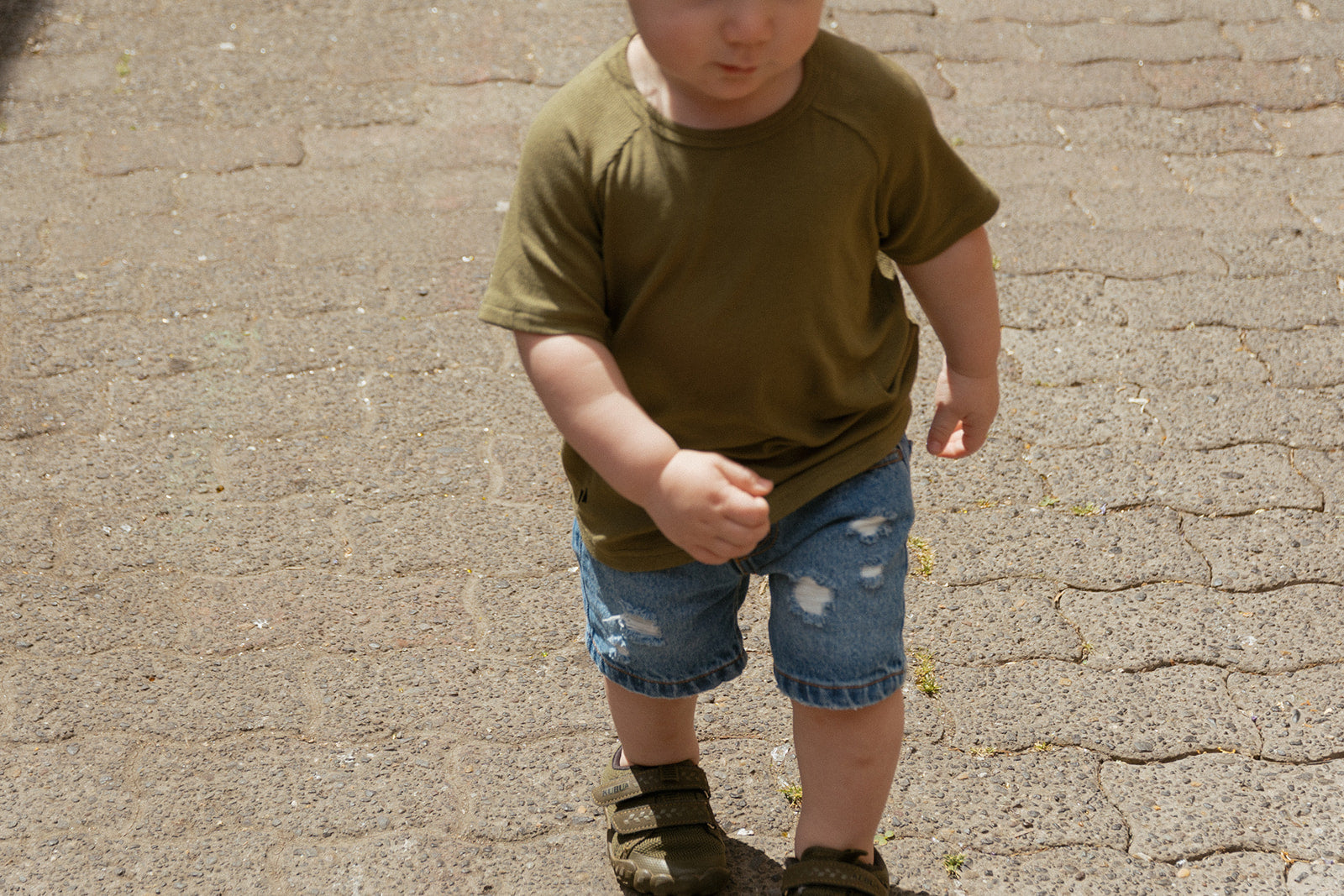 Blazies Short Sleeve - Olive