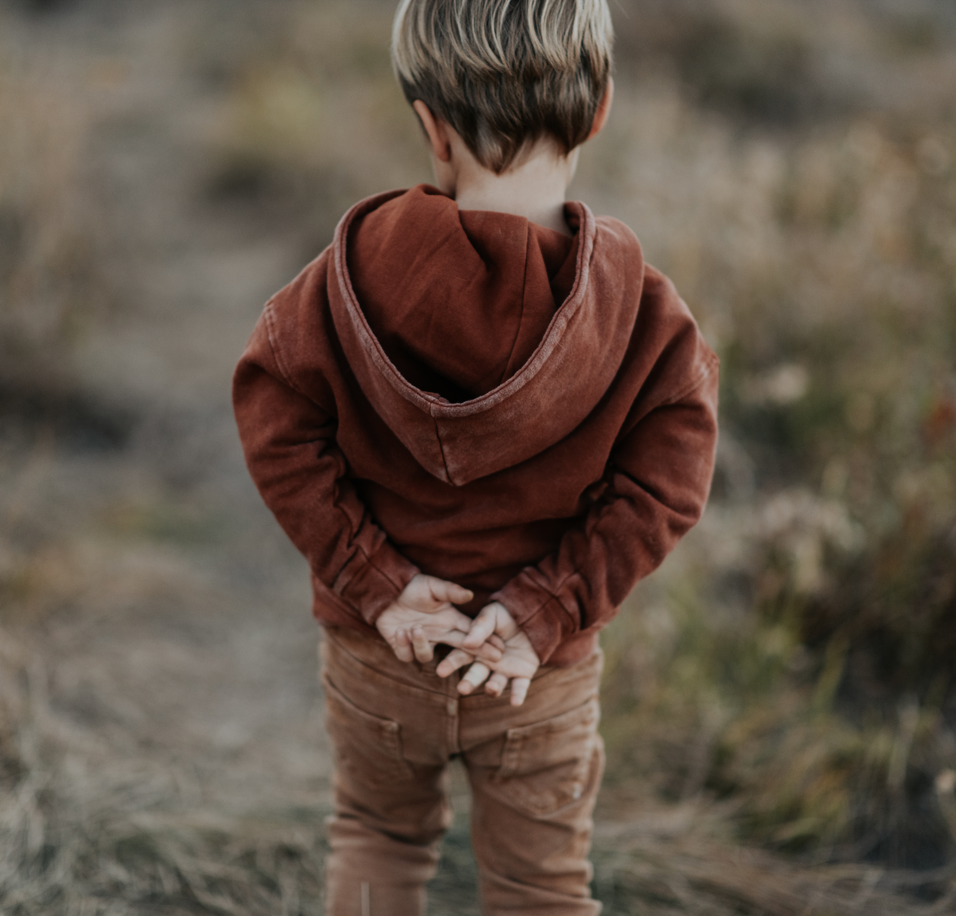 Rust 2025 coloured hoodie